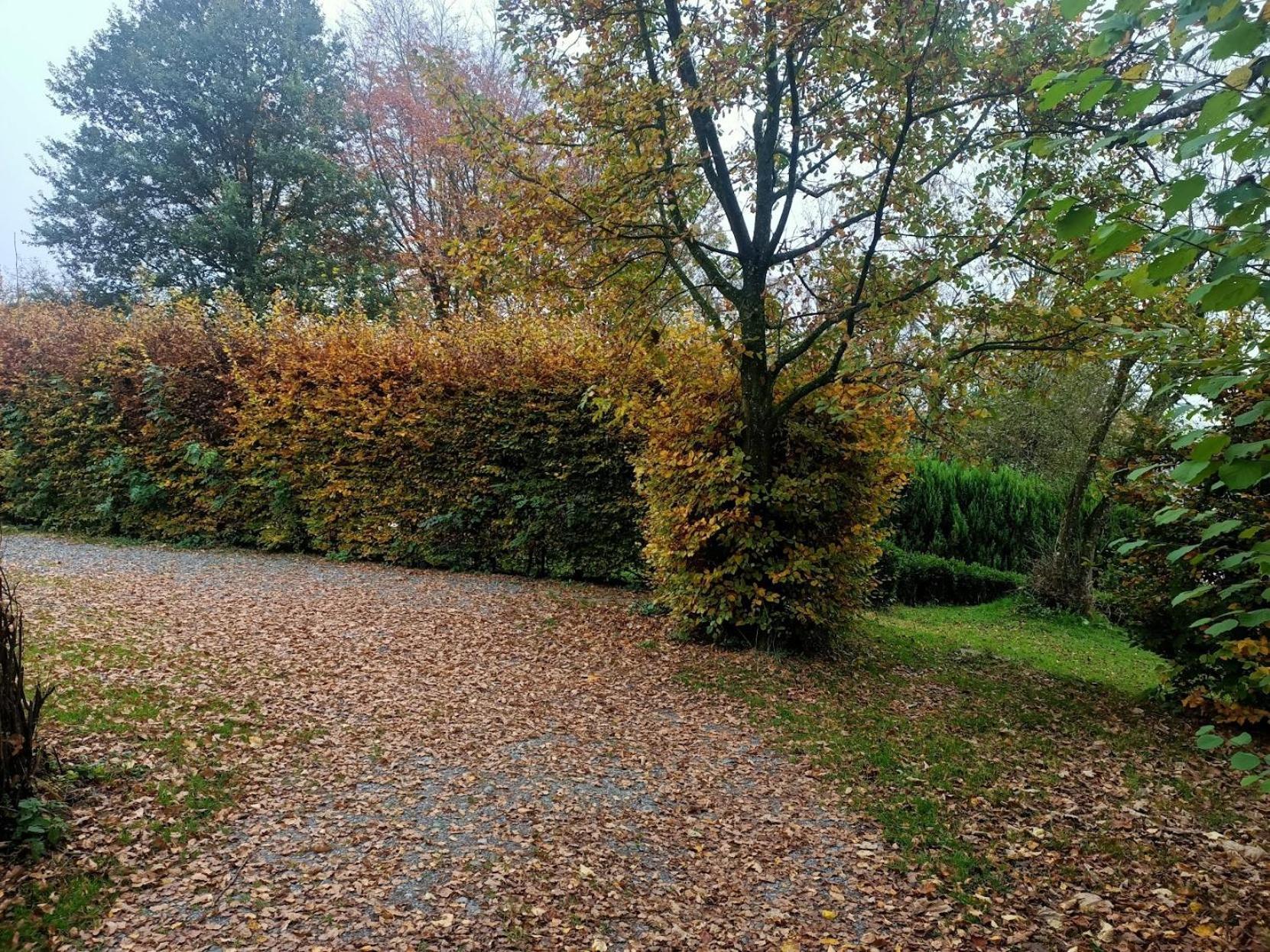 Villa Dri les Courtils à La-Roche-en-Ardenne Extérieur photo